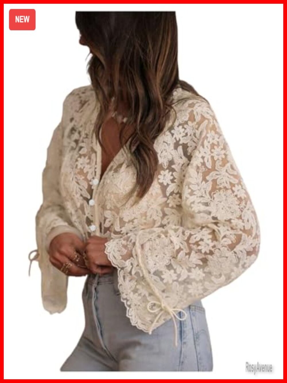 Lace Mesh Long Sleeve V-Neck Peasant Top Floral Embroidered Blouse